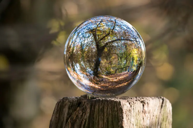 Tree in glass sphere
